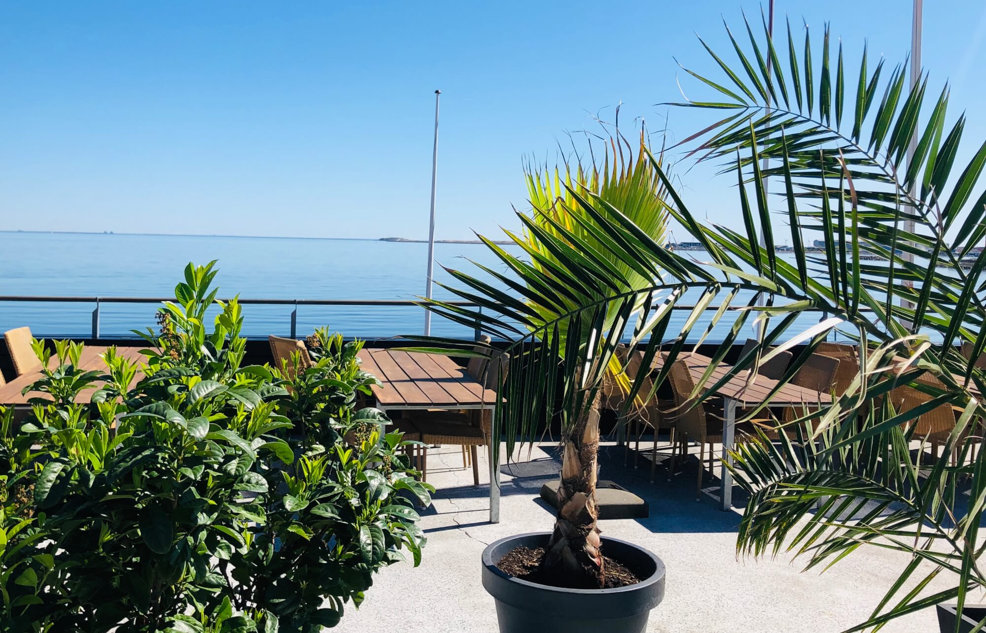 Udenfor Restaurant Hellerup Sejlklub ved havnen